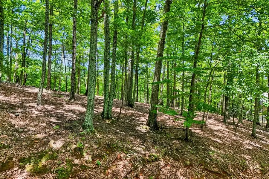 208 Columbine Drive, Big Canoe, GA 30143 - #3