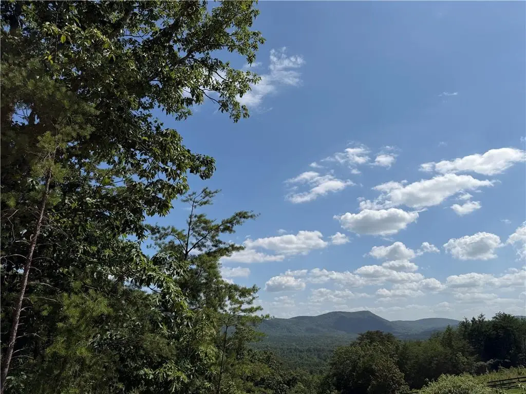 587 E Valley Road Ne, Rydal, GA 30171 - #1