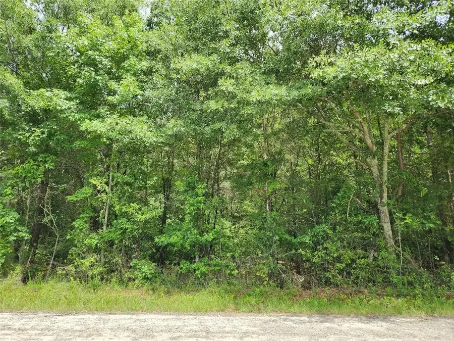 0 Barton Bridge Road, Monroe, GA 30655 - #3
