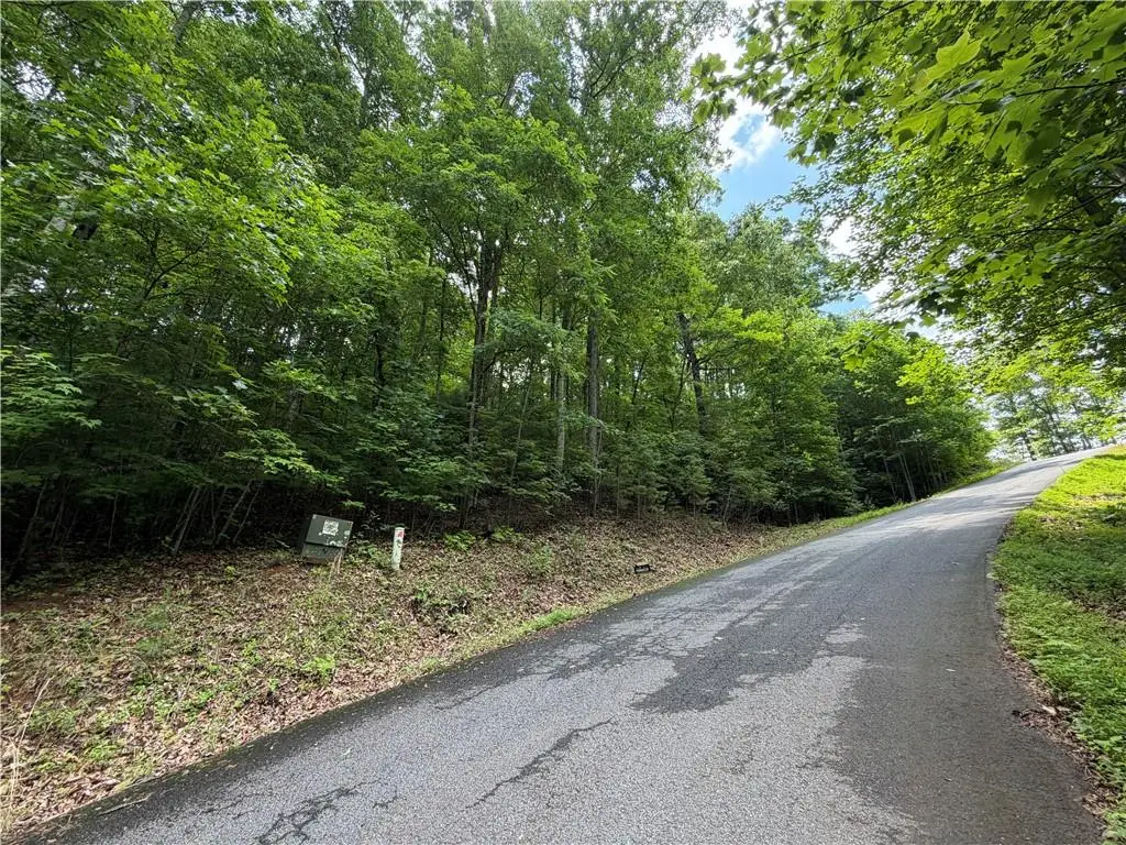 Lot 7 Mill Ridge Road, Hiawassee, GA 30546 - #1