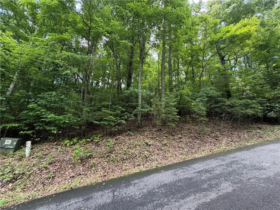 Lot 7 Mill Ridge Road, Hiawassee, GA 30546 - #2