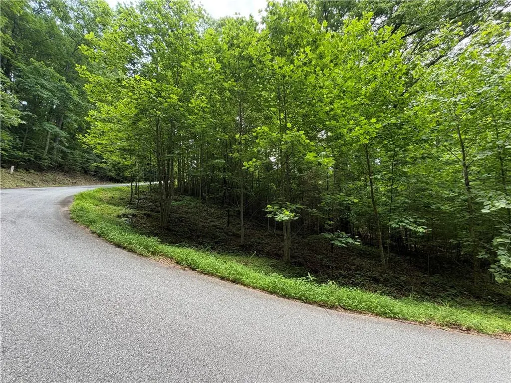 Lot 19 Mill Ridge Rd, Hiawassee, GA 30546 - #1