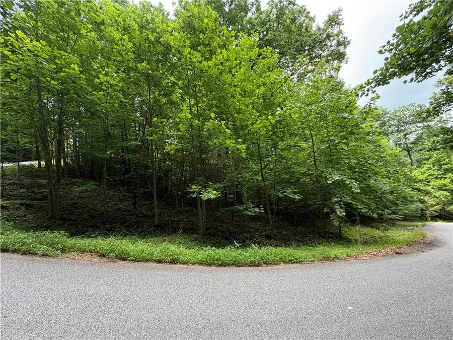 Lot 19 Mill Ridge Rd, Hiawassee, GA 30546 - #2