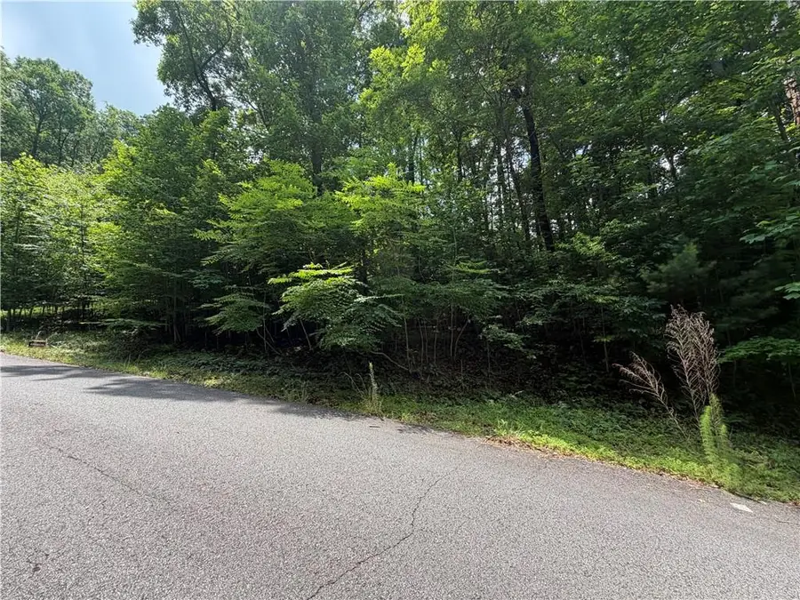 Lot 19 Mill Ridge Rd, Hiawassee, GA 30546 - #3