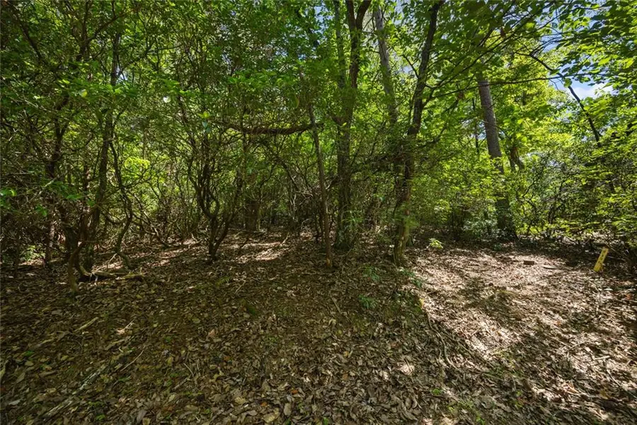 196 Cinnamon Fern Lane, Big Canoe, GA 30143 - #3
