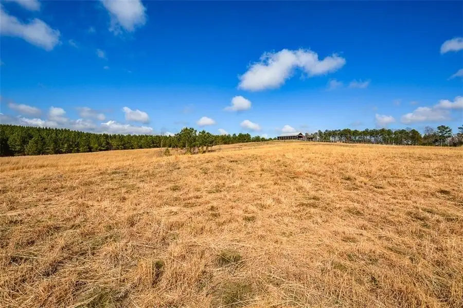 119 Inland 15 Acres Drive, Talking Rock, GA 30175 - #3