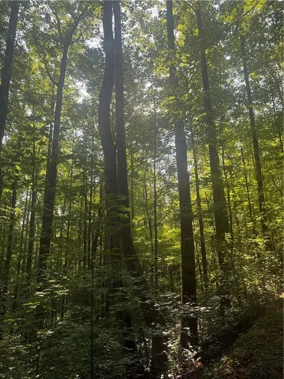 00 Clayton Gooch Road, Dahlonega, GA 30533 - #2