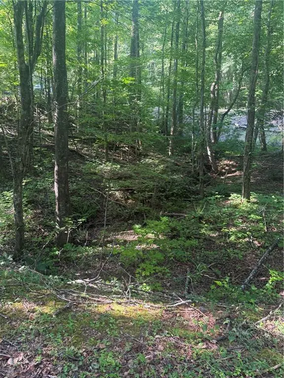 00 Clayton Gooch Road, Dahlonega, GA 30533 - #3