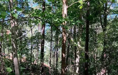 0 Red Oak Trail, Ellijay, GA 30540 - #1