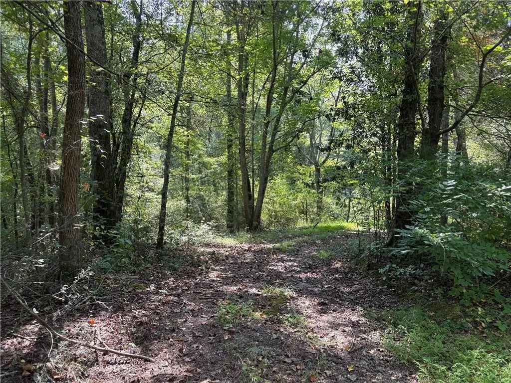 6485 Forsyth Drive, Cumming, GA 30028 - #1