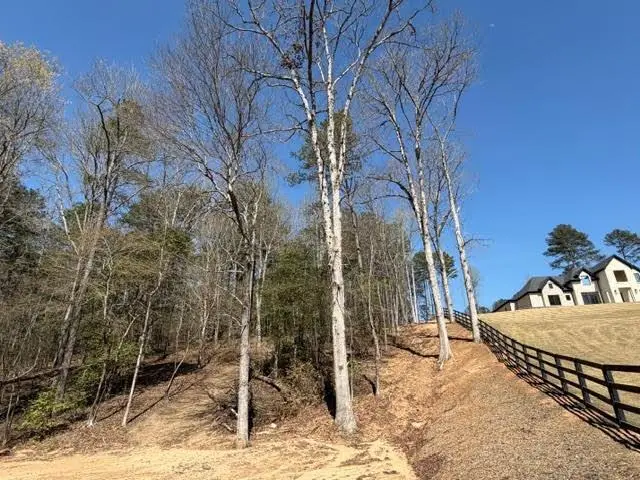 Lot 0 Jack Pittman Road, Dacula, GA 30019 - #1