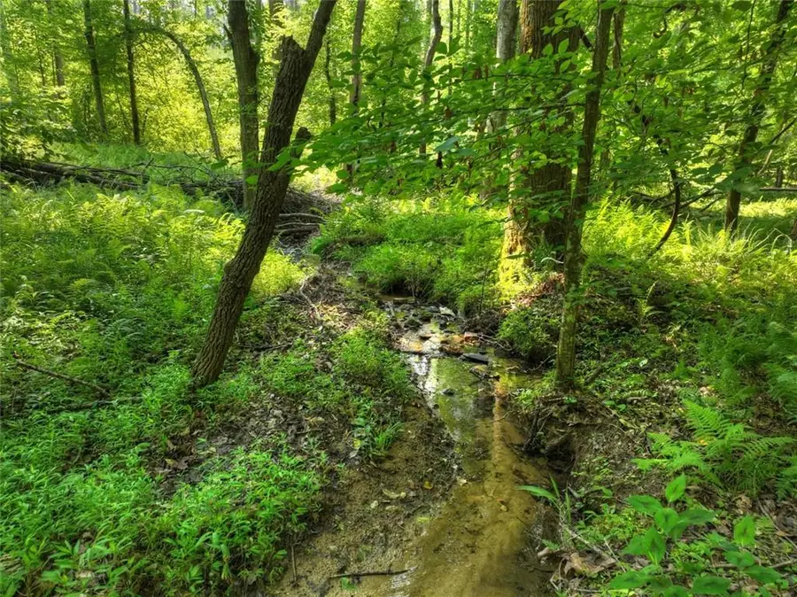 279 Shallow Water Trail, Talking Rock, GA 30175 - #3