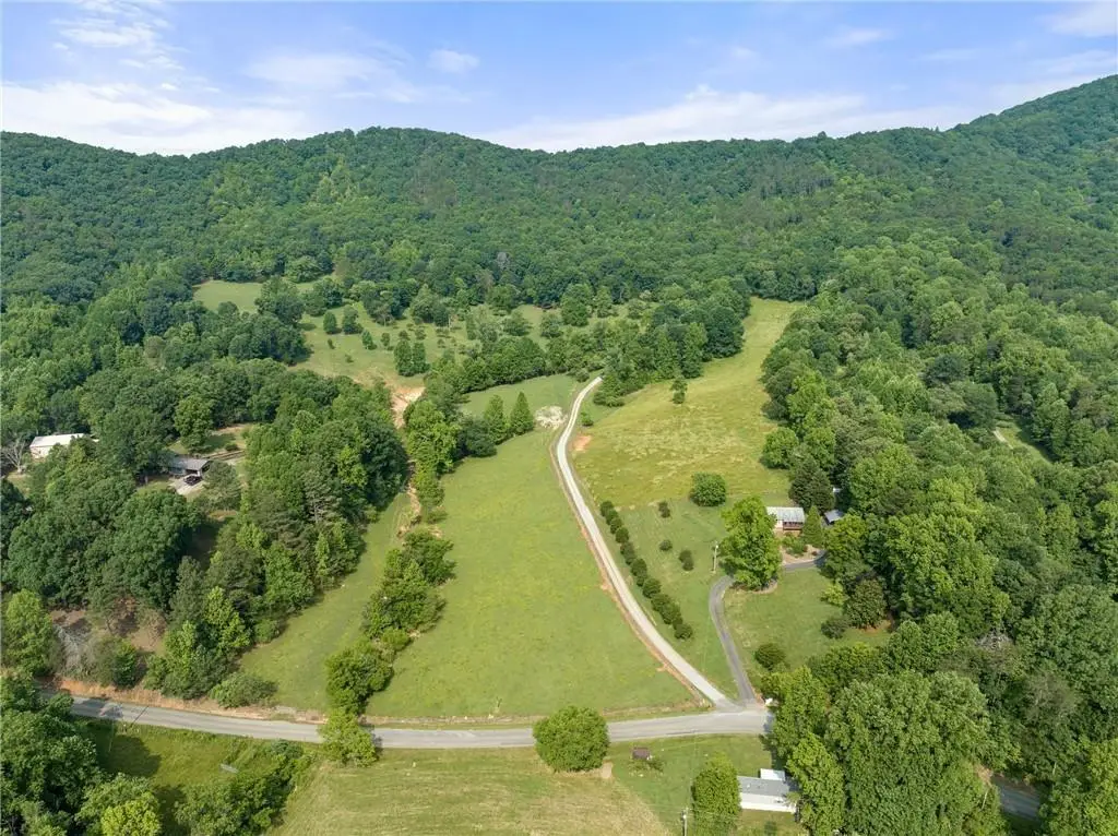 00 Freeman View Trail, Cleveland, GA 30528 - #1