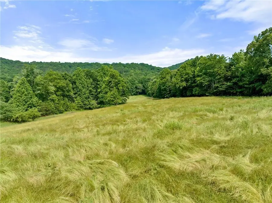 00 Freeman View Trail, Cleveland, GA 30528 - #3