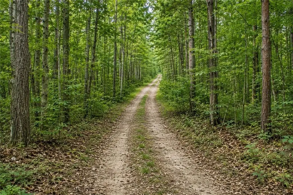 Lot 26 Waldrip Road, Dawsonville, GA 30534 - #1
