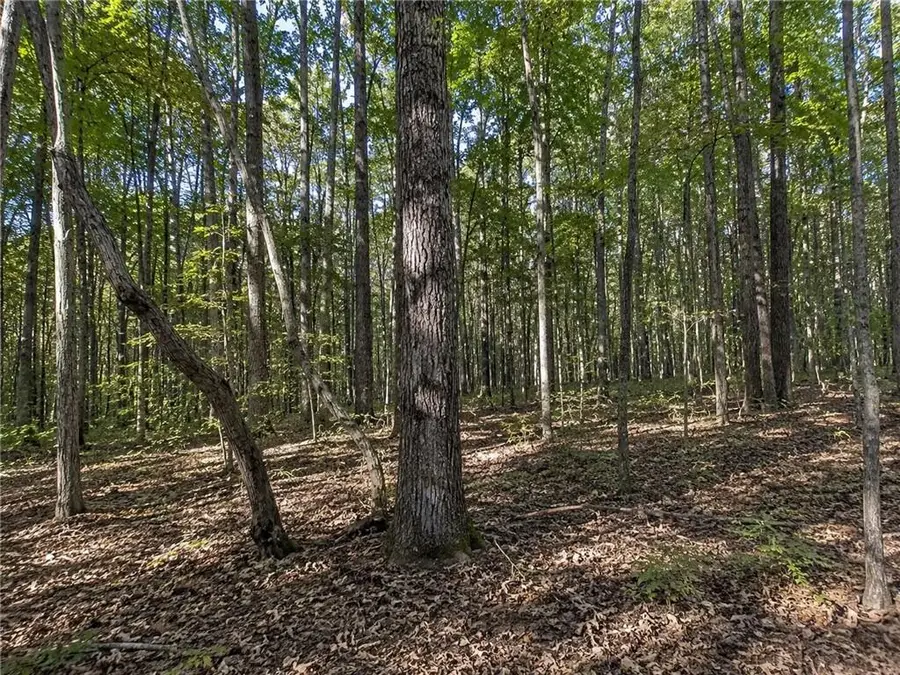 Lot 26 Waldrip Road, Dawsonville, GA 30534 - #3