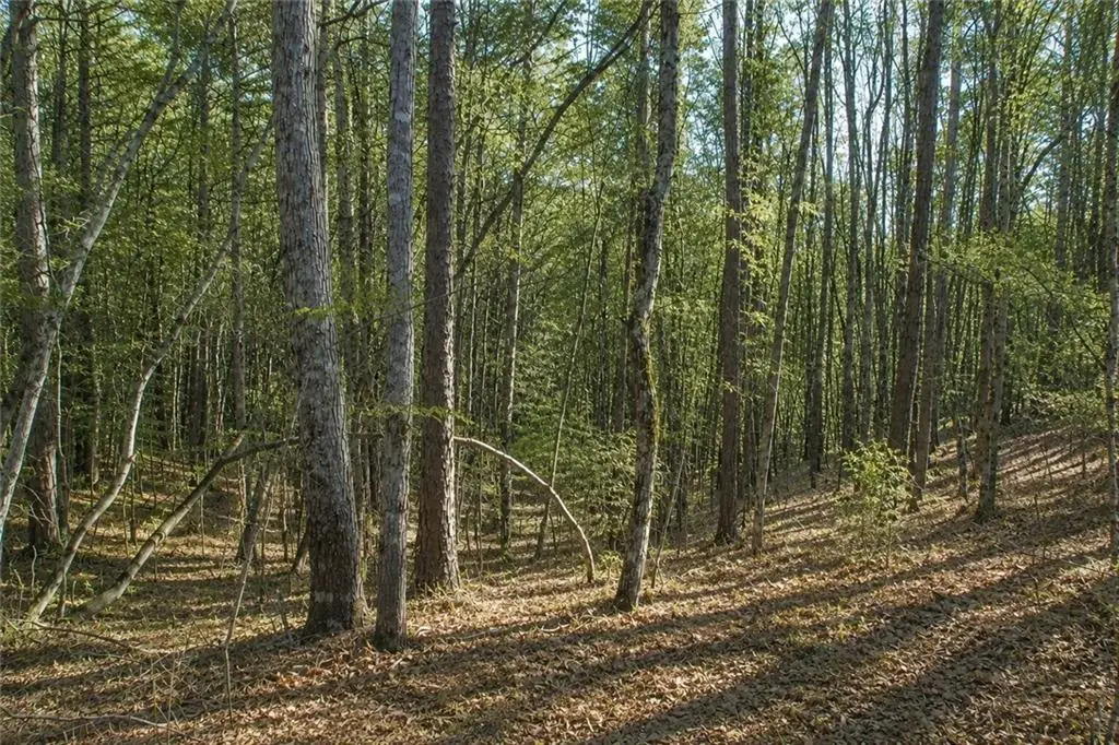 Lot 24 Waldrip Road, Dawsonville, GA 30534 - #1
