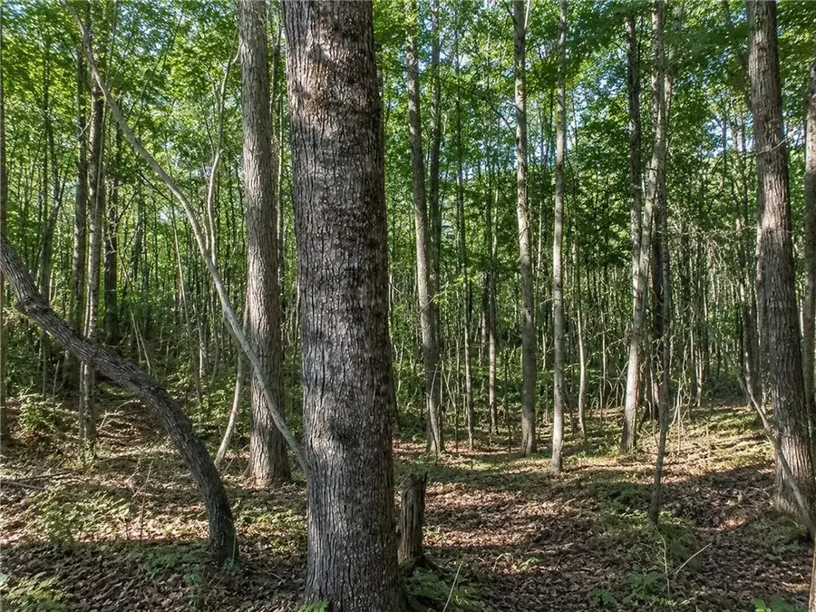 Lot 24 Waldrip Road, Dawsonville, GA 30534 - #2
