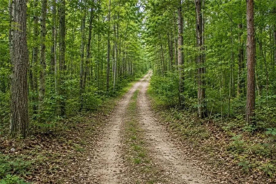 Lot 24 Waldrip Road, Dawsonville, GA 30534 - #3
