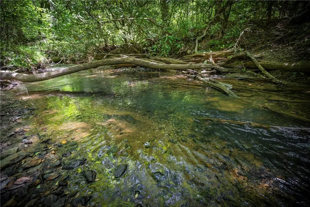 LT1-1A Jonica Gap Road, Mineral Bluff, GA 30559 - #1