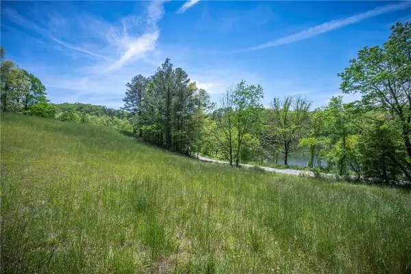 LT2-2a Waterstone Way, Mineral Bluff, GA 30559