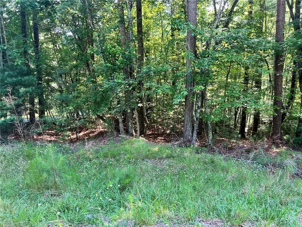 00 Alpine 3625 Drive, Ellijay, GA 30540 - #1