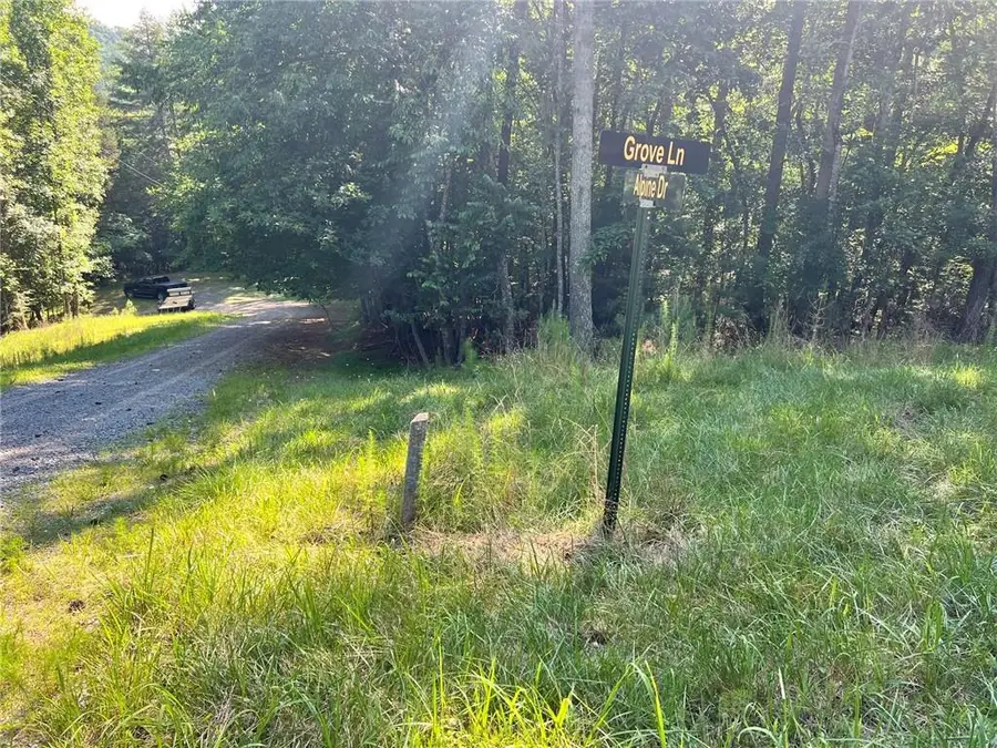 00 Alpine 3625 Drive, Ellijay, GA 30540 - #2
