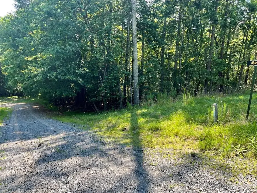 00 Alpine 3625 Drive, Ellijay, GA 30540 - #3