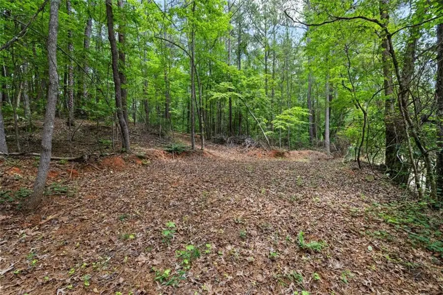 0 Terry Road, Fairburn, GA 30213 - #2