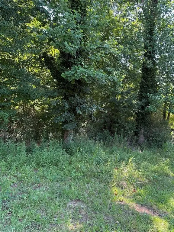 1978 Garden Drive, Gainesville, GA 30507 - #3