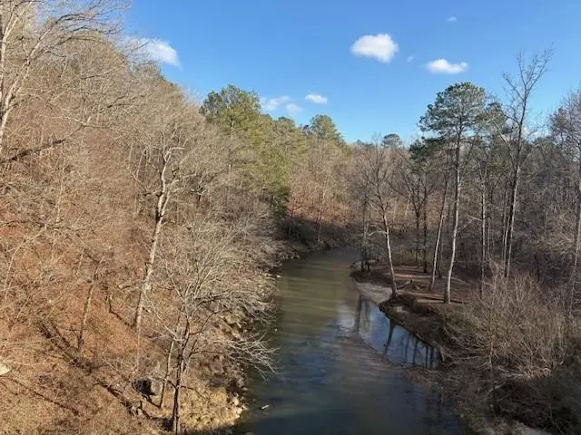 01 Hwy 136 West, Talking Rock, GA 30175 - #3