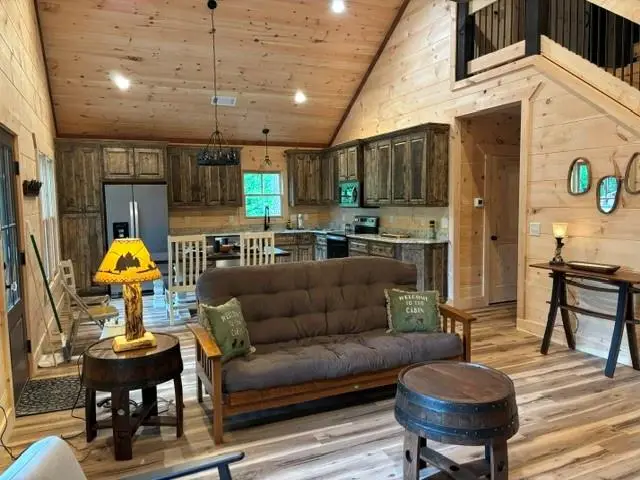 895 Camp Branch Road, Ellijay, GA 30540 - #3