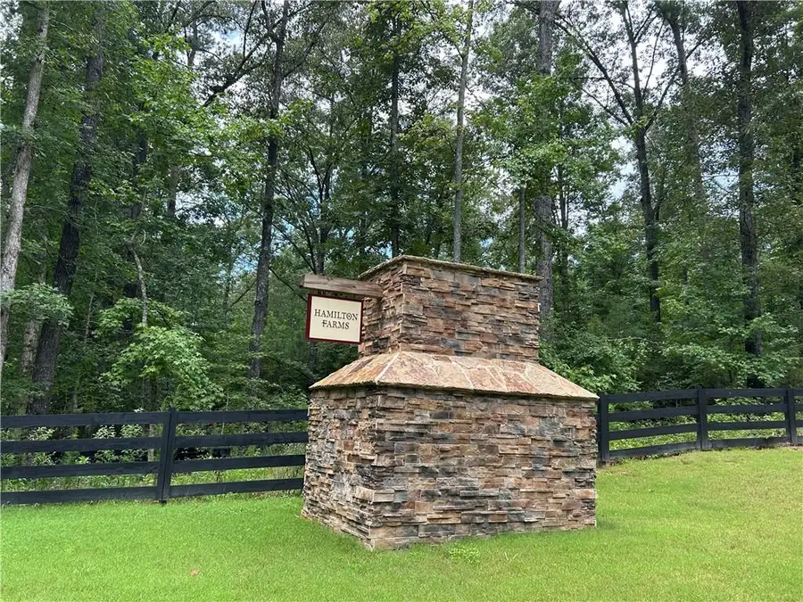 0 Hamilton Road, Chattahoochee Hills, GA 30268 - #2