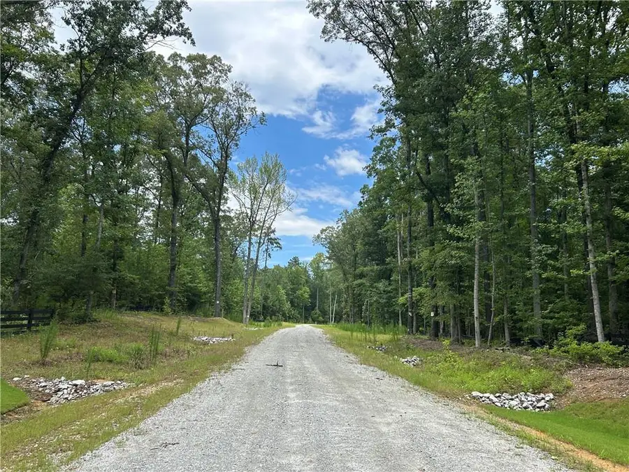 0 Hamilton Road, Chattahoochee Hills, GA 30268 - #3