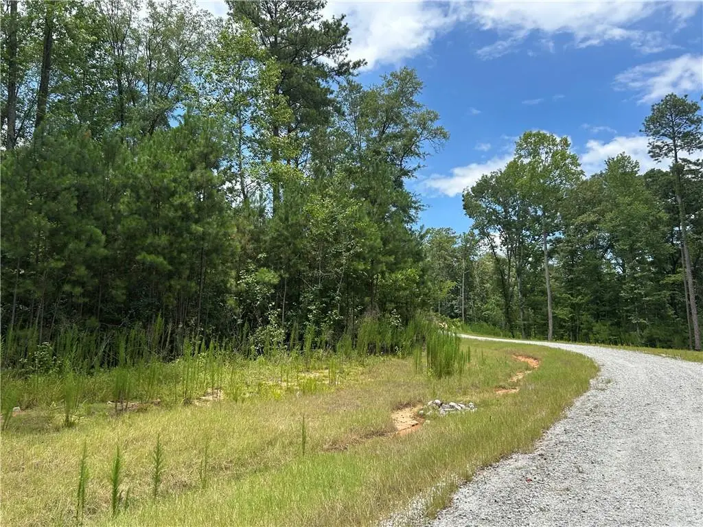 0 Hamilton Road, Chattahoochee Hills, GA 30268 - #1