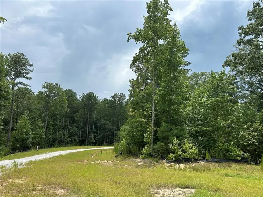 0 Hamilton Road, Chattahoochee Hills, GA 30268 - #3