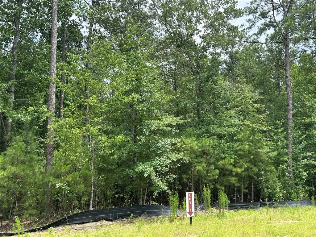 0 Hamilton Road, Chattahoochee Hills, GA 30268 - #1