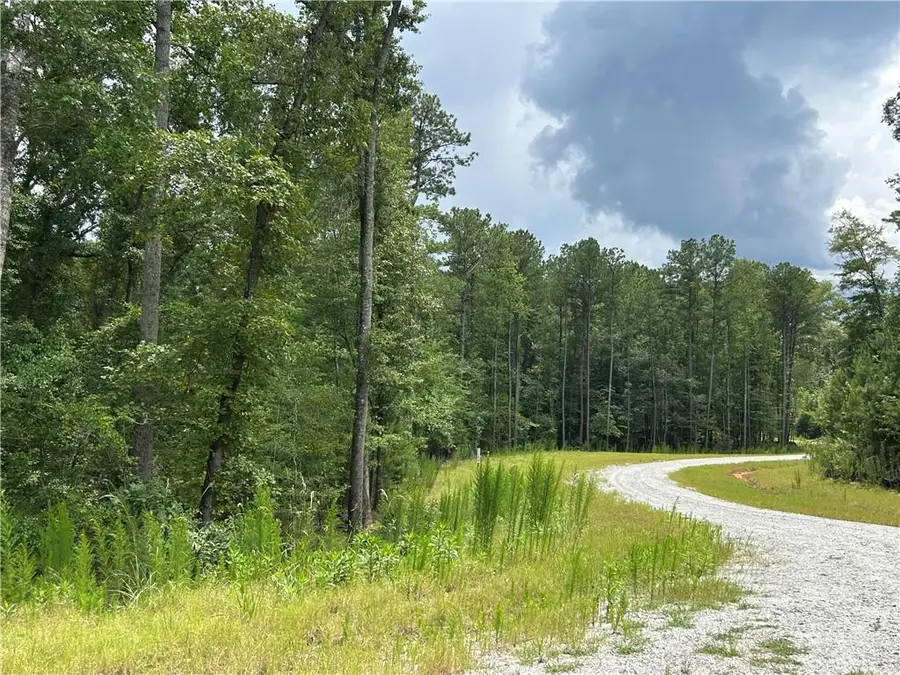 0 Hamilton Road, Chattahoochee Hills, GA 30268 - #3
