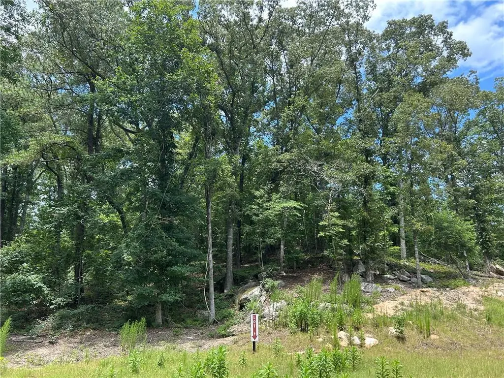 0 Hamilton Road, Chattahoochee Hills, GA 30268 - #1
