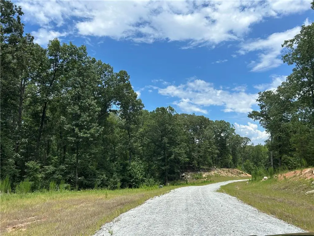 0 Hamilton Road, Chattahoochee Hills, GA 30268 - #1