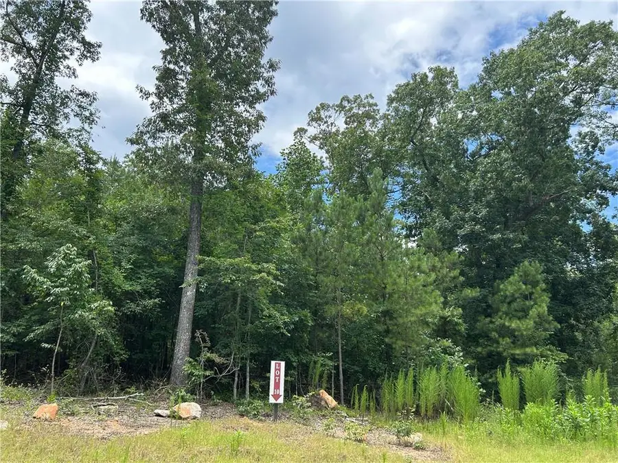 0 Hamilton Road, Chattahoochee Hills, GA 30268 - #2