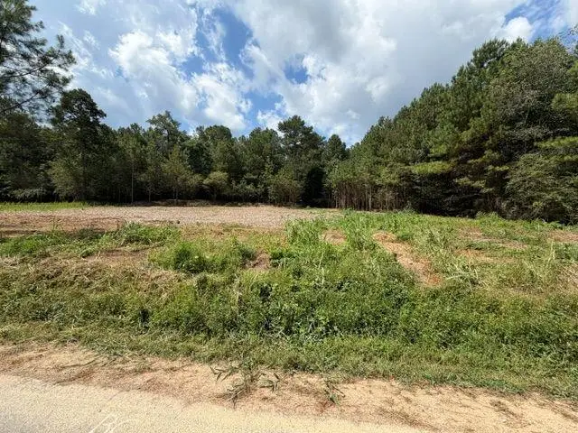 84 Popham Road Tract 2 & 3, Taylorsville, GA 30178 - #1