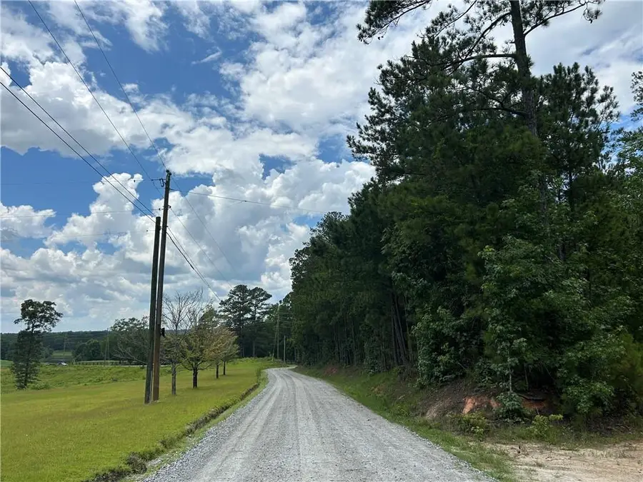 0 Hamilton Road, Chattahoochee Hills, GA 30268 - #2