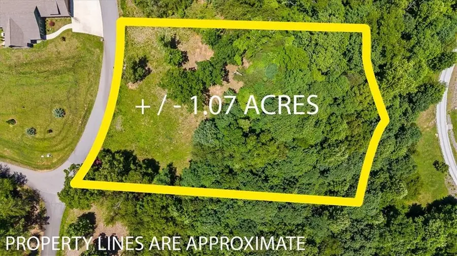 2434 Standing Meadow Dr-lot, Young Harris, GA 30582 - #2