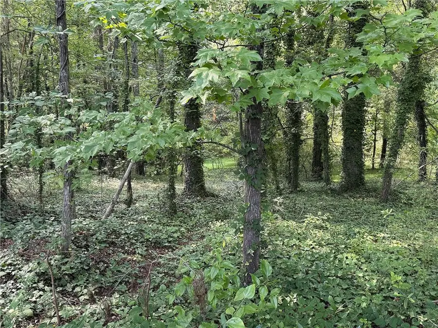 0 Boxer Lane, Cumming, GA 30028 - #2