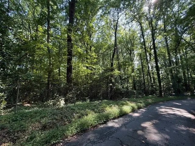 1541 Withmoor Terrace, Austell, GA 30168 - #3