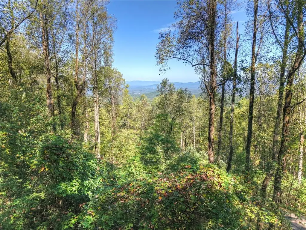LT 296 Andes Ridge, Ellijay, GA 30536 - #1