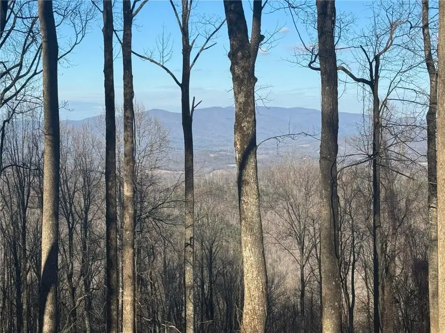 LT 296 Andes Ridge, Ellijay, GA 30536 - #2
