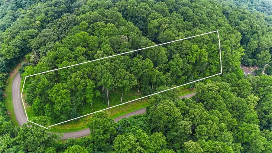 LT 296 Andes Ridge, Ellijay, GA 30536 - #3