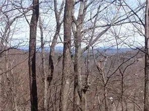 8112 Disharoon Drive, Big Canoe, GA 30143 - #3